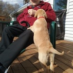 Charles "Charlie" Ross Robinson